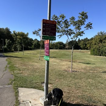 Walnut Park - Parks Near Me - Davis, California