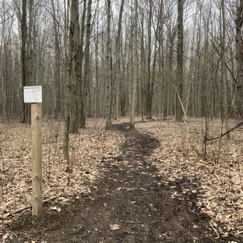 Bauervic Woods Park - Trail - Parks Near Me - Southfield, Michigan Bauervic Woods Park - Trail - Parks Near Me - Southfield, Michigan
