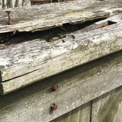 Potts Custom Fence