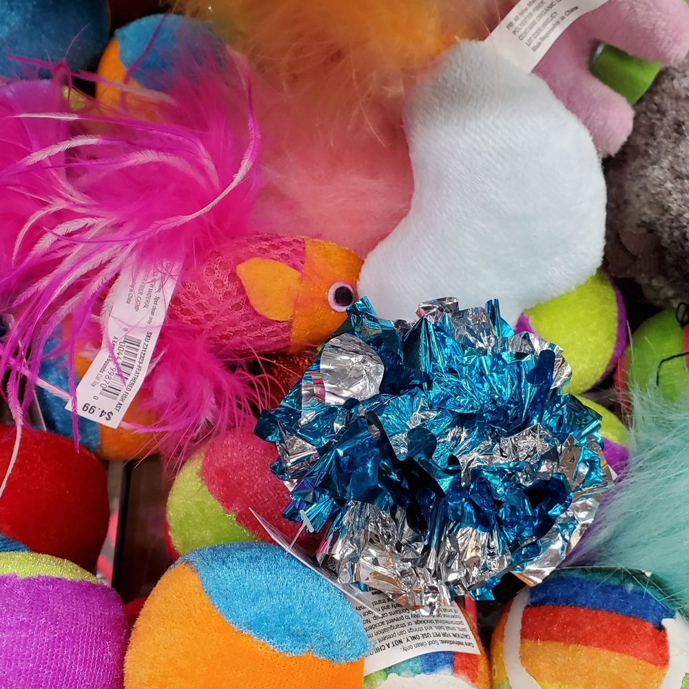 Petco - Cat toys. - Pet Stores Near Me - Ewa, Hawaii Petco - Cat toys. - Pet Stores Near Me - Ewa, Hawaii