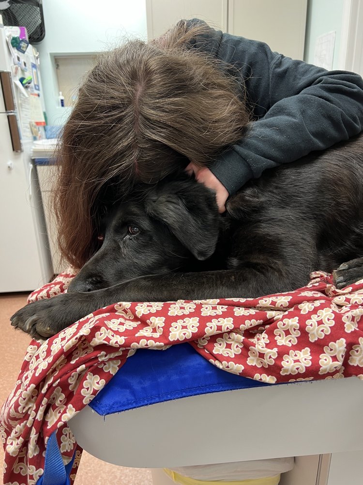 UNION HILL VETERINARY HOSPITAL Updated July 2024 1405 Hwy 30 E