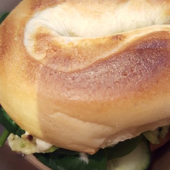 Brill - Vegan Bagel - Books, Mags, Music & Video Near Me - London, XGL Brill - Vegan Bagel - Books, Mags, Music & Video Near Me - London, XGL