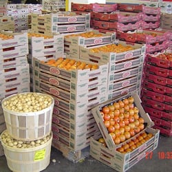 416grocery - Discover a New Shopping Experience