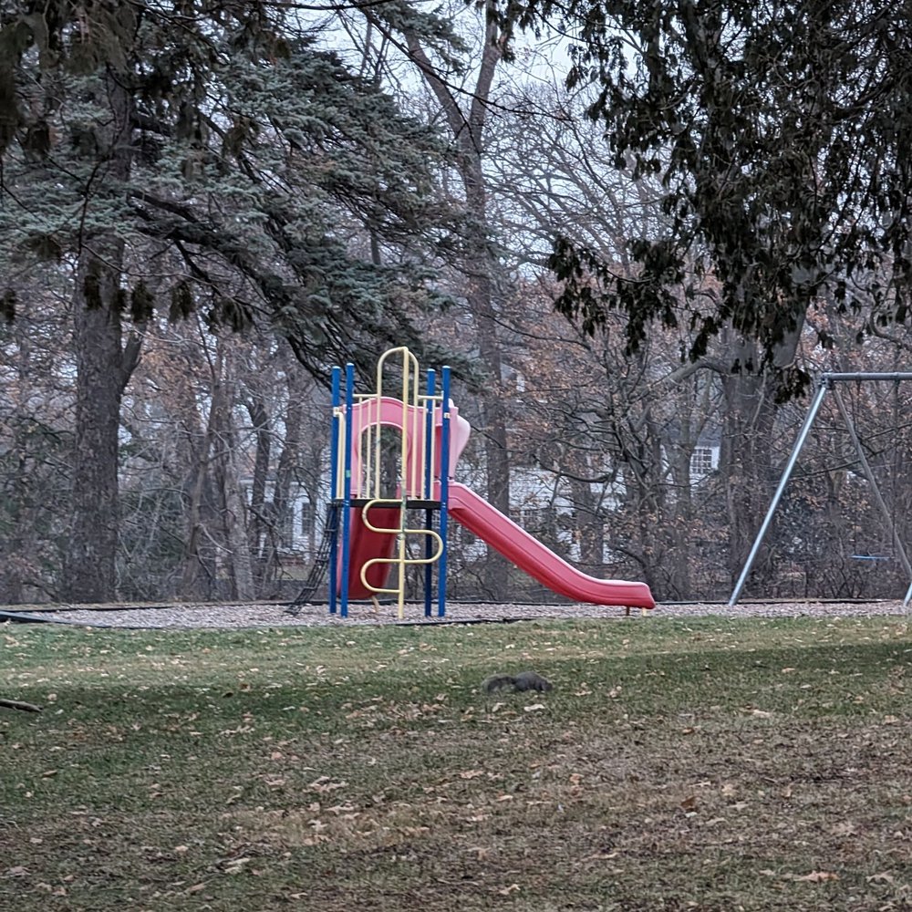 St. Marys Park - Slide with a squirrel passing by - Parks Near Me - Rochester, Minnesota St. Marys Park - Slide with a squirrel passing by - Parks Near Me - Rochester, Minnesota