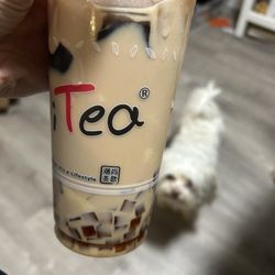 i-Tea - Milk tea with grass jelly, pudding, coffee jelly