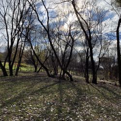 Bryant Lake Dog Park