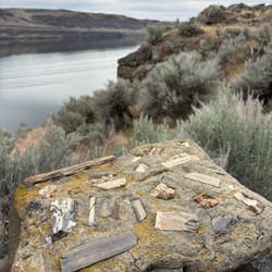 Ginkgo Petrified Forest State Park