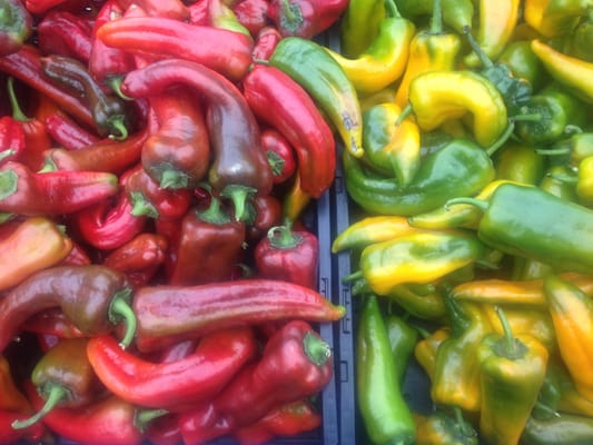 Montclair Village Farmers' Market by null