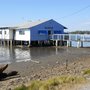 Photo of The Big Oyster Seafood & Cafe