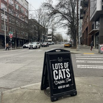 NEKO: A Cat Cafe - sign out front - Themed Cafes Near Me - Seattle, Washington