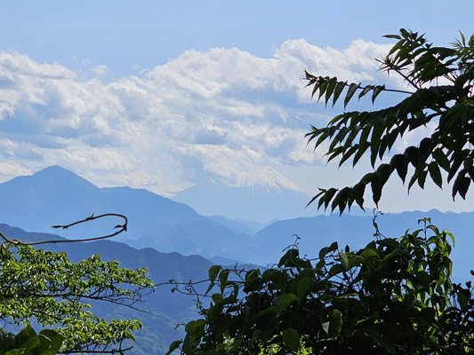 Mount Takao by null
