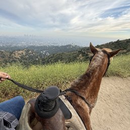Enjoy a ride on a gentle, well-trained horse