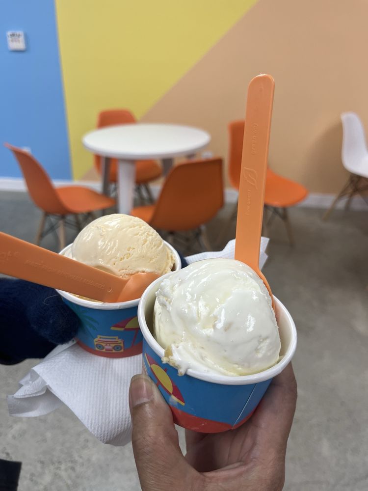 Naturalz Ice Cream Logo