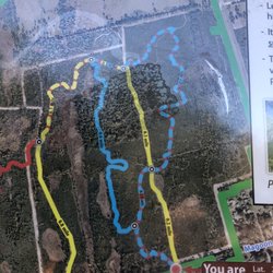 Scottsmoor Flatwoods Sanctuary - Different paths you can take.