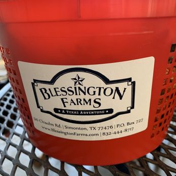 Blessington Farms - Pumpkin Patches Near Me - Simonton, Texas