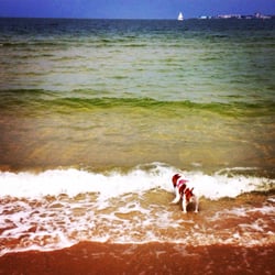 Pickles Street Beach