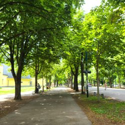 Prater Hauptallee