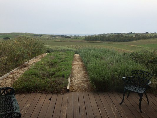 La Foresteria Planeta Estate by null
