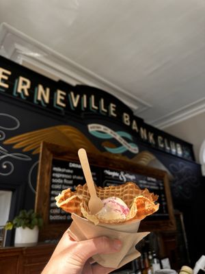 Nimble & Finn's by null