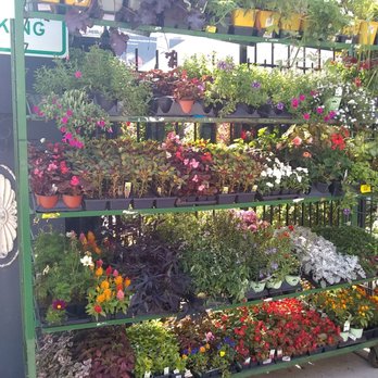 Old Town Gardens - Nurseries & Gardening Near Me - Chicago, Illinois Old Town Gardens - Nurseries & Gardening Near Me - Chicago, Illinois