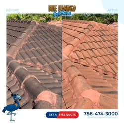 Blue Flamingo SoftWash - Roof Cleaning - Soft Washing | Blue Flamingo SoftWash
