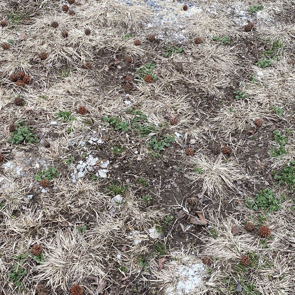 Straightforward Fence - Cement and gravel on my lawn. - Fences & Gates Near Me - Levittown, Pennsylvania Straightforward Fence - Cement and gravel on my lawn. - Fences & Gates Near Me - Levittown, Pennsylvania
