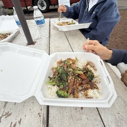 The Little Chicken Spot - Teriyaki chicken and spicy chicken plate