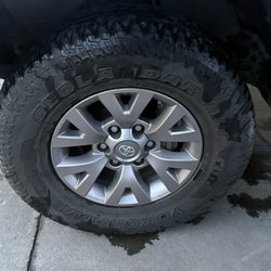 Tidal Wave Auto Spa - Got the tire shine! WOW so shiny.