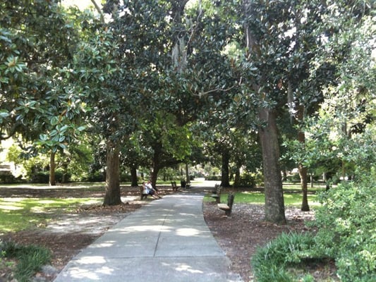 Forsyth Park by null