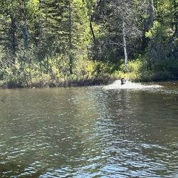 Scout Lake Adventures