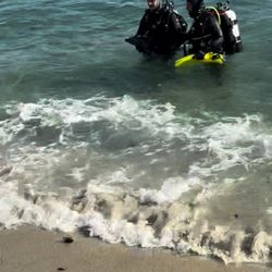 San Diego Scuba Guide - Coming in for from the dive.
