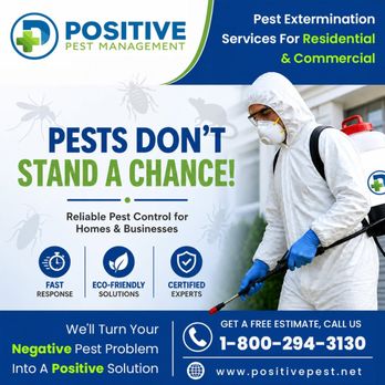 Positive Pest Management - Pest Control Near Me - New York, New York Positive Pest Management - Pest Control Near Me - New York, New York