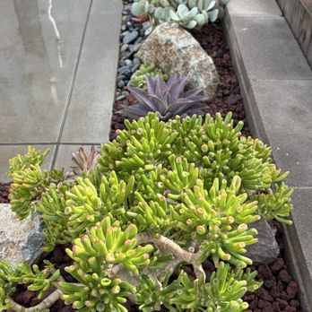 Garden Rhythms - Landscaping Near Me