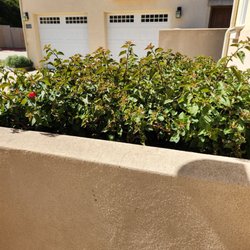 Dan's Landscaping Company