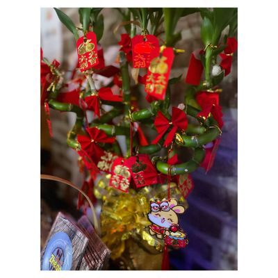 Zhego NYC by null Zhego NYC by null