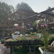 King S Nursery 95 Photos 91 Reviews Nurseries Gardening 1212 King S Nursery 95 Photos 91 Reviews Nurseries Gardening 1212