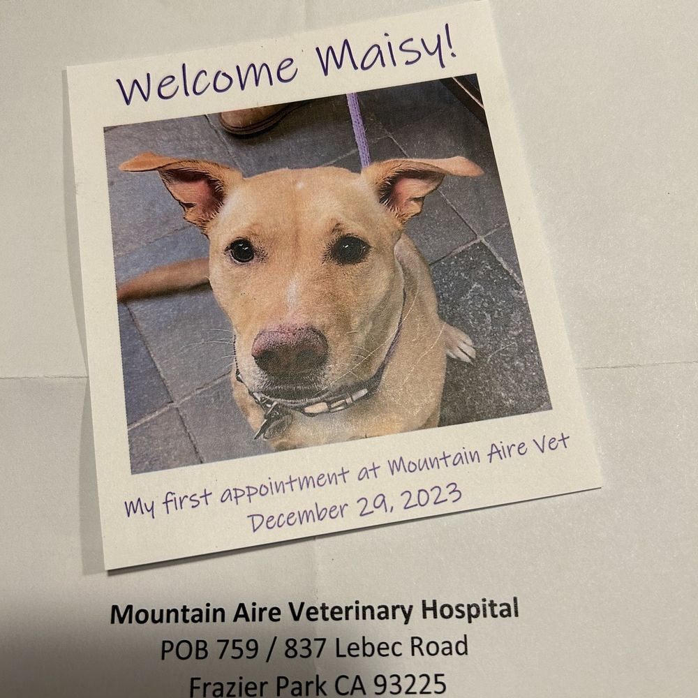 We even received a thank you note and an adorable picture of our Maisy. We even received a thank you note and an adorable picture of our Maisy.