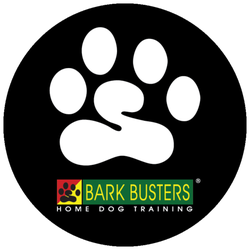 Bark Busters Home Dog Training Northern Colorado - Bark Busters Home Dog Training Northern Colorado