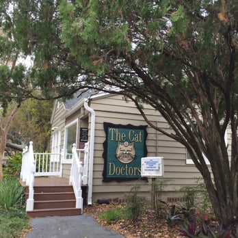 The Cat Doctors - Veterinarians Near Me - Tampa, Florida