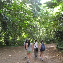 Mānoa Falls Trail