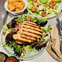 Salad with grilled salmon/Cesar salad with shrimps/chips and salsa Salad with grilled salmon/Cesar salad with shrimps/chips and salsa