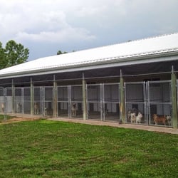Grand Haven Pet Lodge