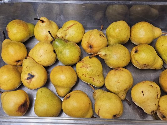 Daily Recess by null