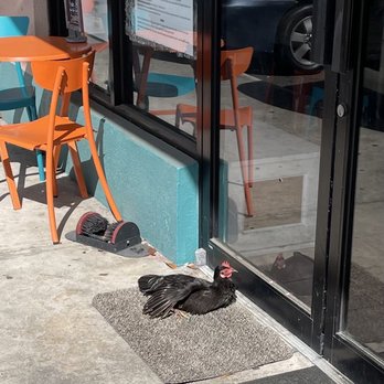 Joe's Bar & Grille - Patience will be rewarded - Italian Near Me - Christiansted, Virgin Islands Joe's Bar & Grille - Patience will be rewarded - Italian Near Me - Christiansted, Virgin Islands