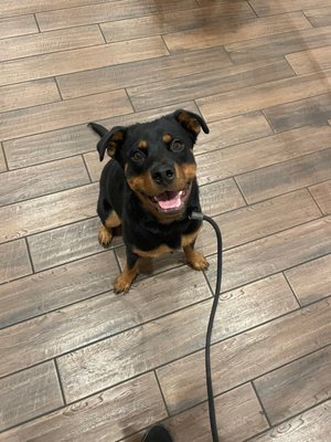 BUZZ wine beer bottleshop & bar by null