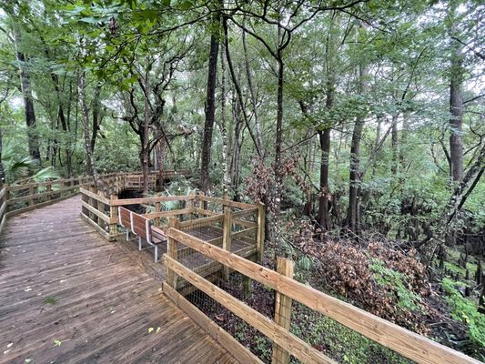 Fanning Springs State Park by null