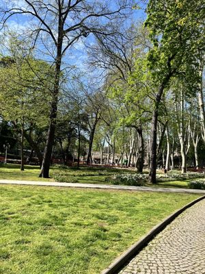 Gülhane Park by null