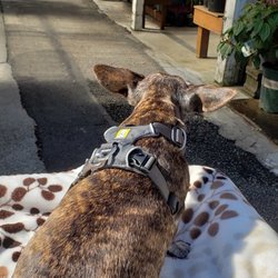 Bark & Garden Center