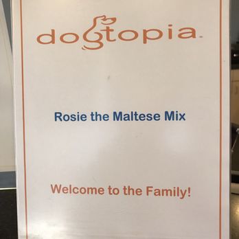 Dogtopia - They posted a sign to welcome Rosie on her first day! - Pet Sitting Near Me - Alexandria, Virginia