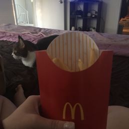 "Large fry" "Large fry"